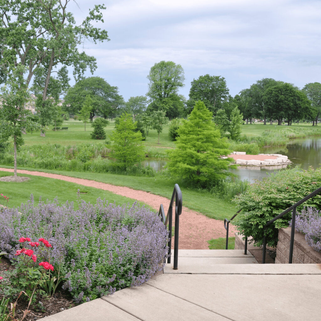 Techny Prairie Park and Fields